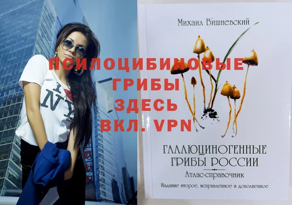 ПСИЛОЦИБИНОВЫЕ ГРИБЫ Абинск